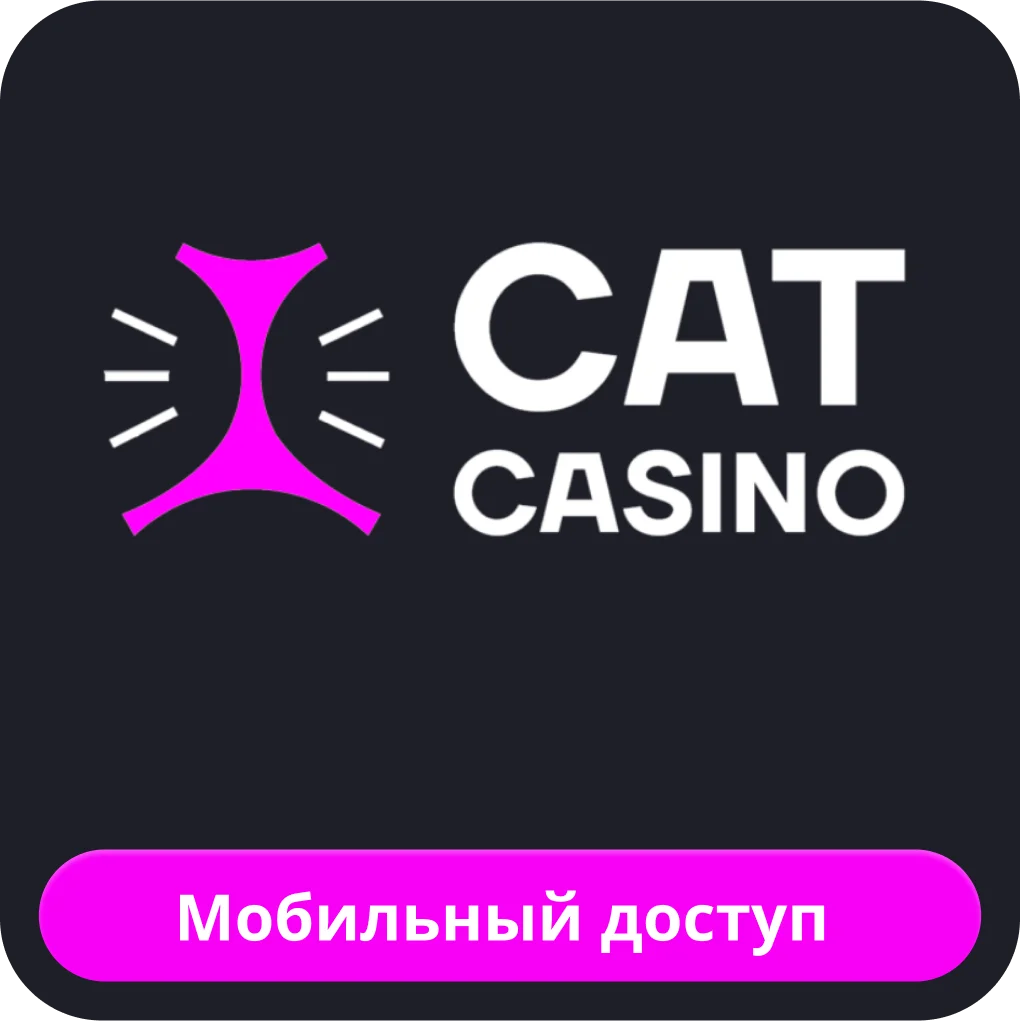 Мобильное приложение Cat casino Кэт казино мобильная версия